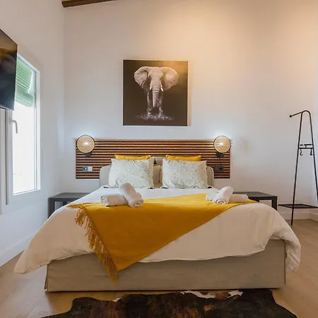 Lofts Calle Sol Apartment *