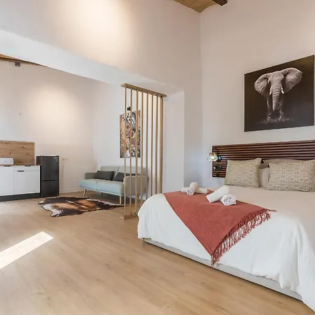 Lofts Calle Sol Apartment Jerez de la Frontera