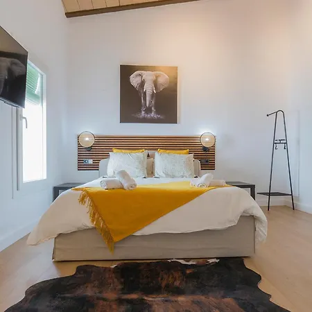 Apartment Lofts Calle Sol