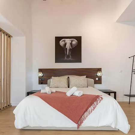 Lofts Calle Sol Apartment Jerez de la Frontera
