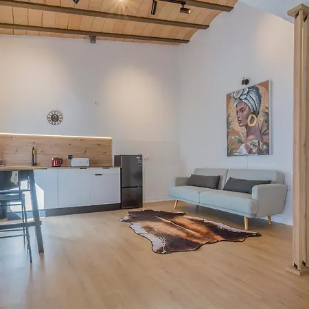 Lofts Calle Sol Apartment *